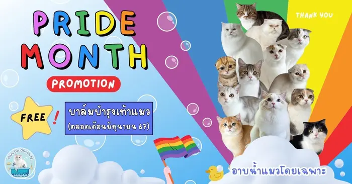 Maru Cat Grooming(อาบน้ำแมวโดยเฉพาะ)